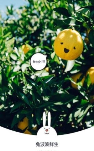 兔波波鲜生  v1.0.0图1