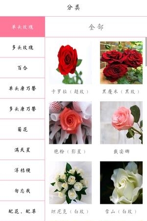 花季  v1.2.0图2