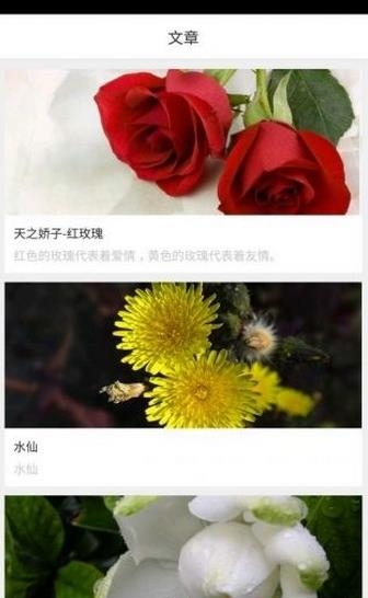 拈花惹草