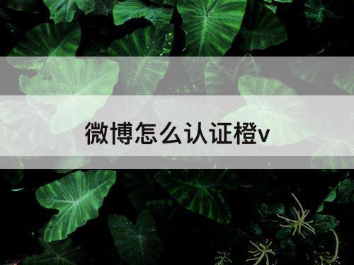 微博怎么认证橙v