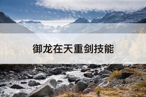 御龙在天重剑技能