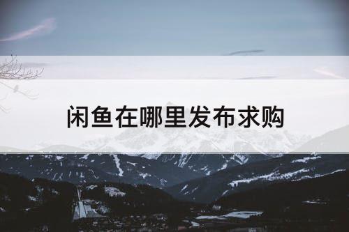 闲鱼在哪里发布求购