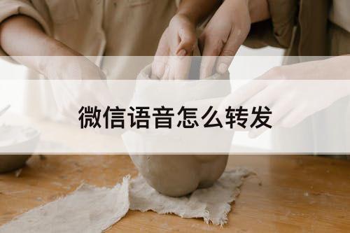 微信语音怎么转发