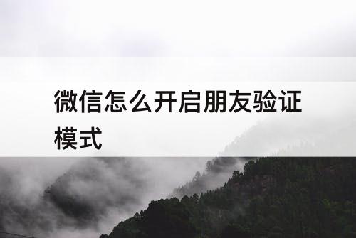 微信怎么开启朋友验证模式