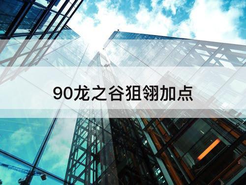 90龙之谷狙翎加点