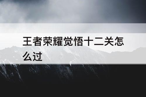 王者荣耀觉悟十二关怎么过