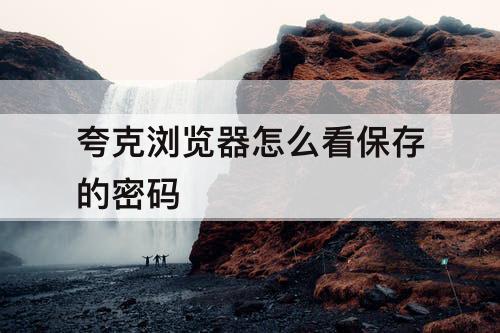 夸克浏览器怎么看保存的密码