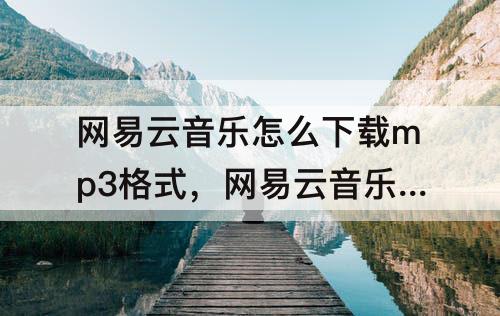 网易云音乐怎么下载mp3格式，网易云音乐怎么下载mp3格式vip