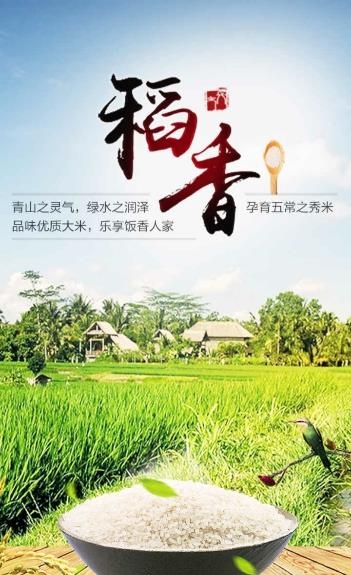 湖北大米网  v5.0.0图5