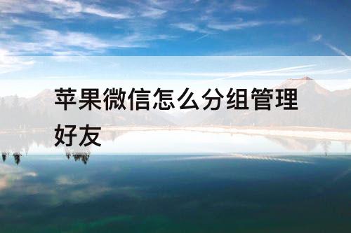 苹果微信怎么分组管理好友