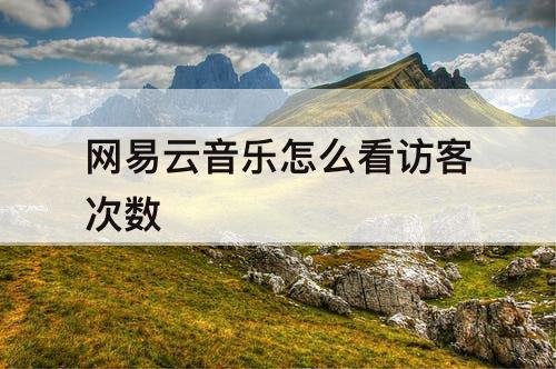 网易云音乐怎么看访客次数