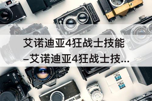 艾诺迪亚4狂战士技能-艾诺迪亚4狂战士技能介绍
