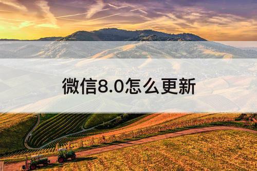 微信8.0怎么更新