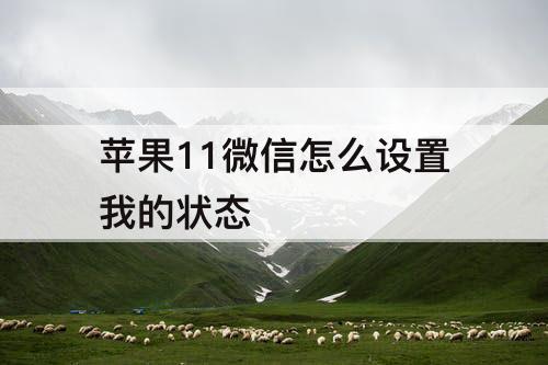 苹果11微信怎么设置我的状态
