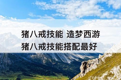 猪八戒技能 造梦西游猪八戒技能搭配最好