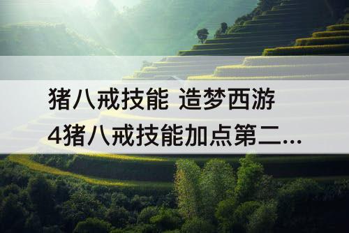 猪八戒技能 造梦西游4猪八戒技能加点第二心法