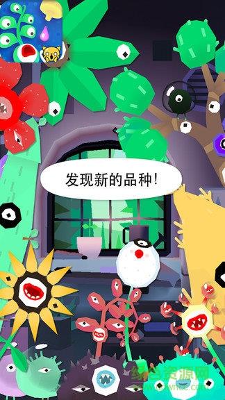小小植物园