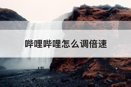 哔哩哔哩怎么调倍速