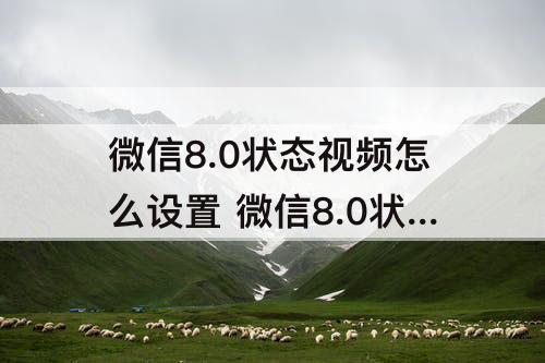 微信8.0状态视频怎么设置 微信8.0状态视频怎么设置文案