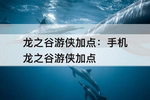 龙之谷游侠加点：手机龙之谷游侠加点