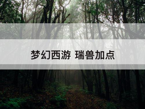梦幻西游 瑞兽加点