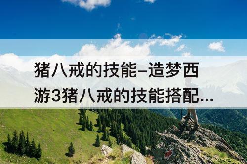 猪八戒的技能-造梦西游3猪八戒的技能搭配前期