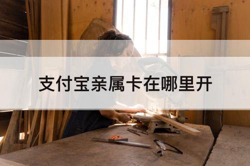 支付宝亲属卡在哪里开