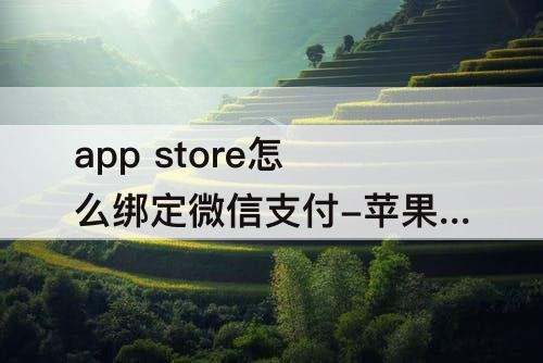 app store怎么绑定微信支付-苹果app store怎么绑定微信支付