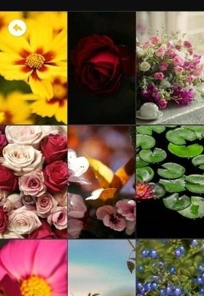 微主题高清壁纸  v4.5.3图2