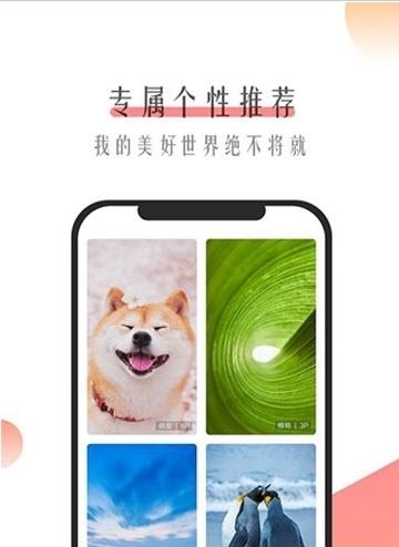 米柚壁纸  v9.9.9图3