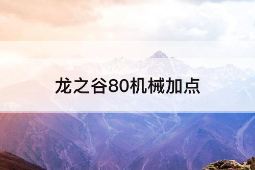 龙之谷80机械加点