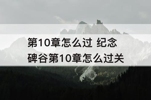 第10章怎么过 纪念碑谷第10章怎么过关