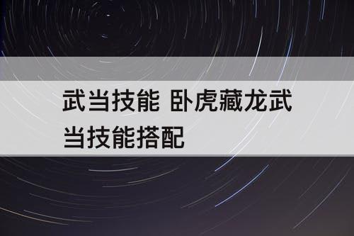 武当技能 卧虎藏龙武当技能搭配