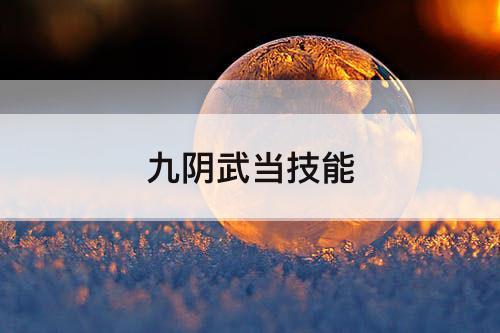 九阴武当技能