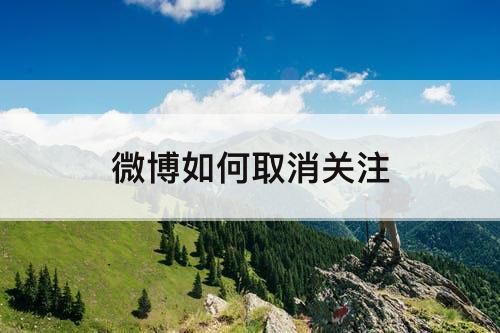 微博如何取消关注