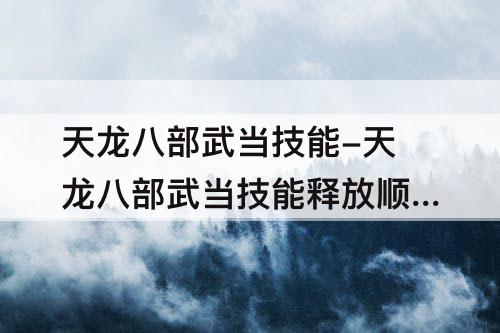 天龙八部武当技能-天龙八部武当技能释放顺序