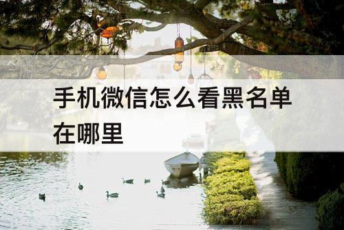 手机微信怎么看黑名单在哪里