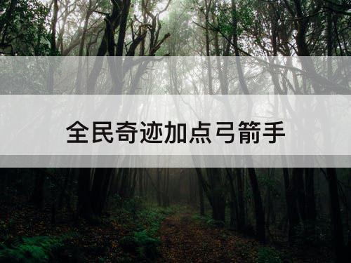 全民奇迹加点弓箭手