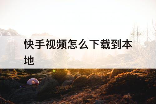 快手视频怎么下载到本地