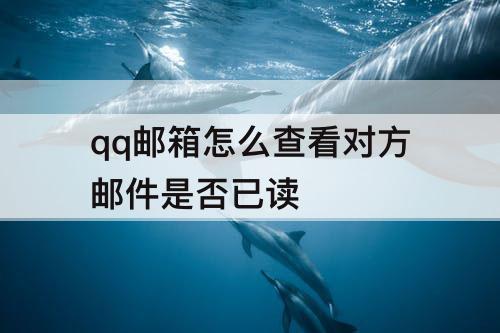 qq邮箱怎么查看对方邮件是否已读