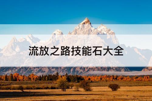 流放之路技能石大全