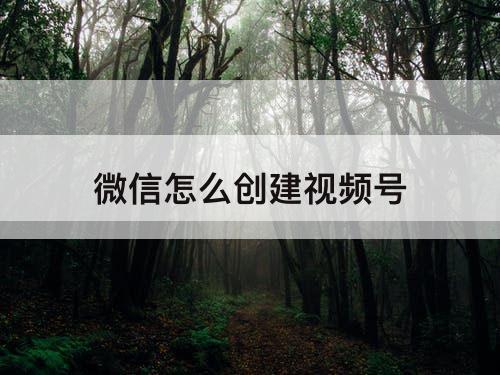微信怎么创建视频号