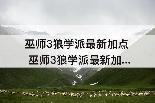 巫师3狼学派最新加点 巫师3狼学派最新加点图