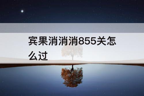 宾果消消消855关怎么过