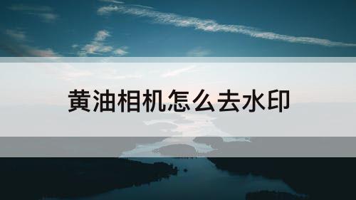 黄油相机怎么去水印