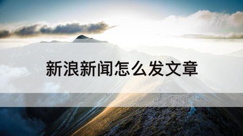 新浪新闻怎么发文章