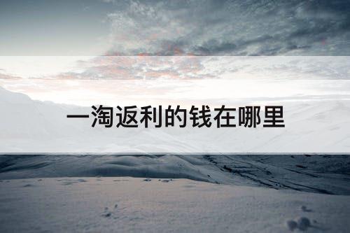 一淘返利的钱在哪里