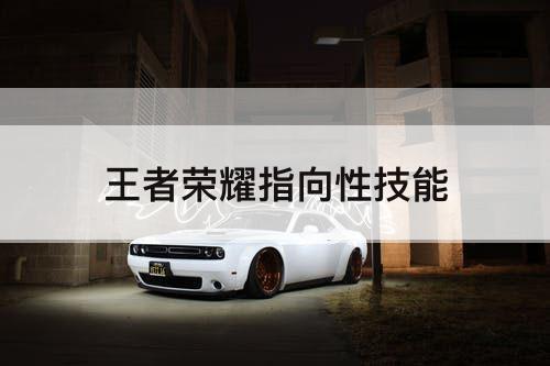 王者荣耀指向性技能