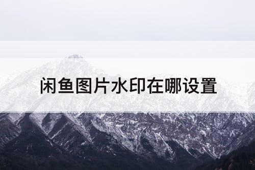 闲鱼图片水印在哪设置