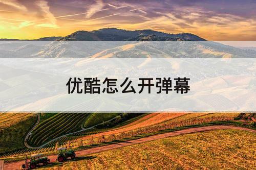 优酷怎么开弹幕